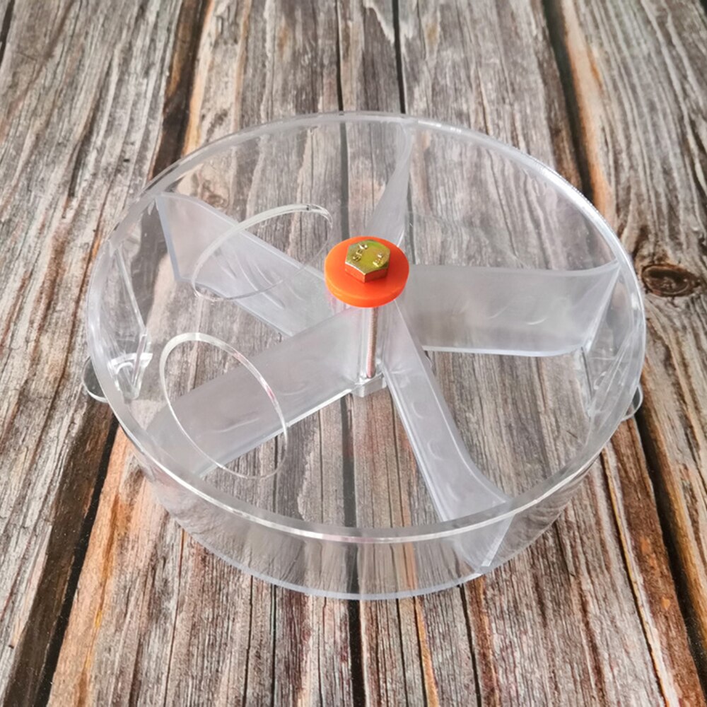 Parrot Brain Game Toy Funny Parrot Roller Feeder Device Toys Wheels Cake Modeling Food Box