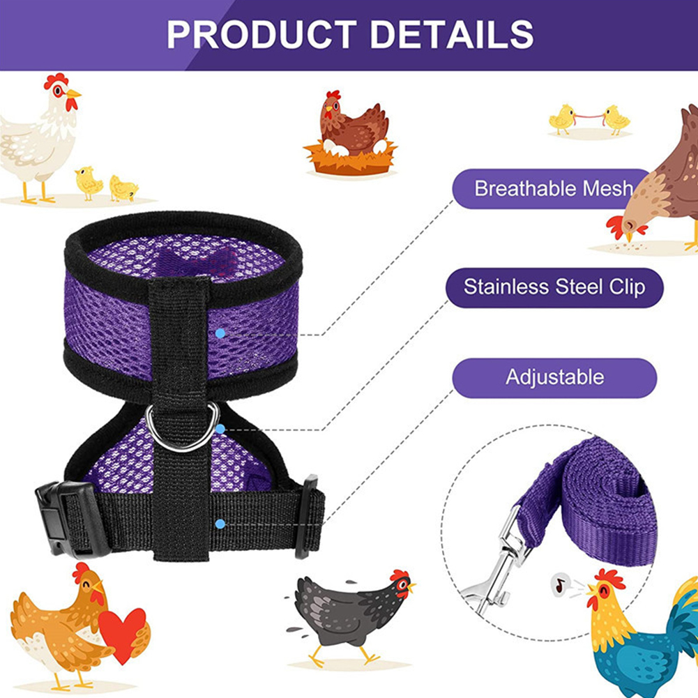 Breathable Mesh Chicken Duck Vest Leashes Poultry Hen Pet Harness With Matching Training for Walking Duck Goose Hen Rooster