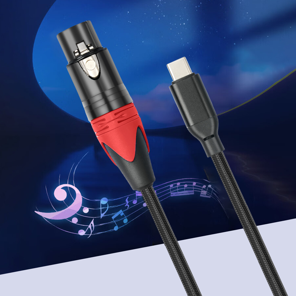 Câble de microphone USB C vers XLR femelle, Plug and Play, Audio Static, 1 m, 2 m, 3m