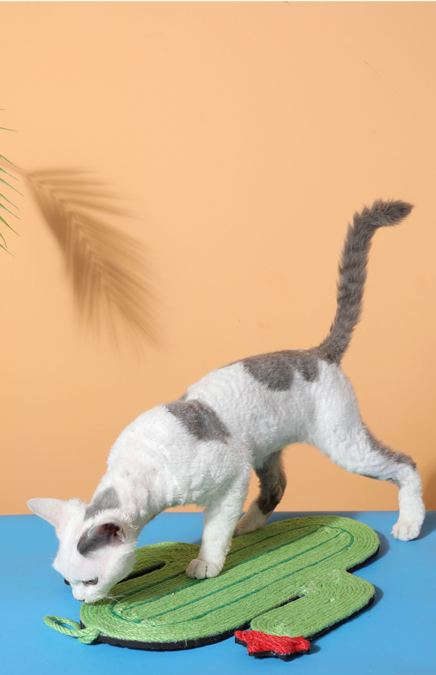 Cat Scratching Board Red Watermelon Shaped Sisal Cat Scratching Mat