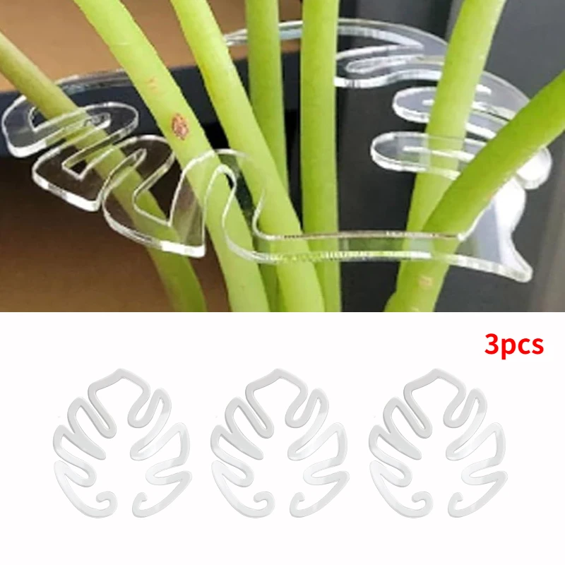 Turtle Shell Bamboo Clamp Set Monstera Grapple Plant Unique Aesthetic Monstera Plant Support Keeps Plants Tame Growing Vertical: Brown