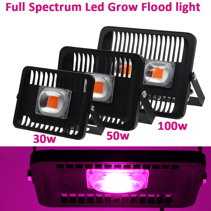 Full Spectrum Led Grow Flood light Outdoor IP65 Waterproof High Power 30W 50W 100W 220V For Plant With EU Plug Connector Growth