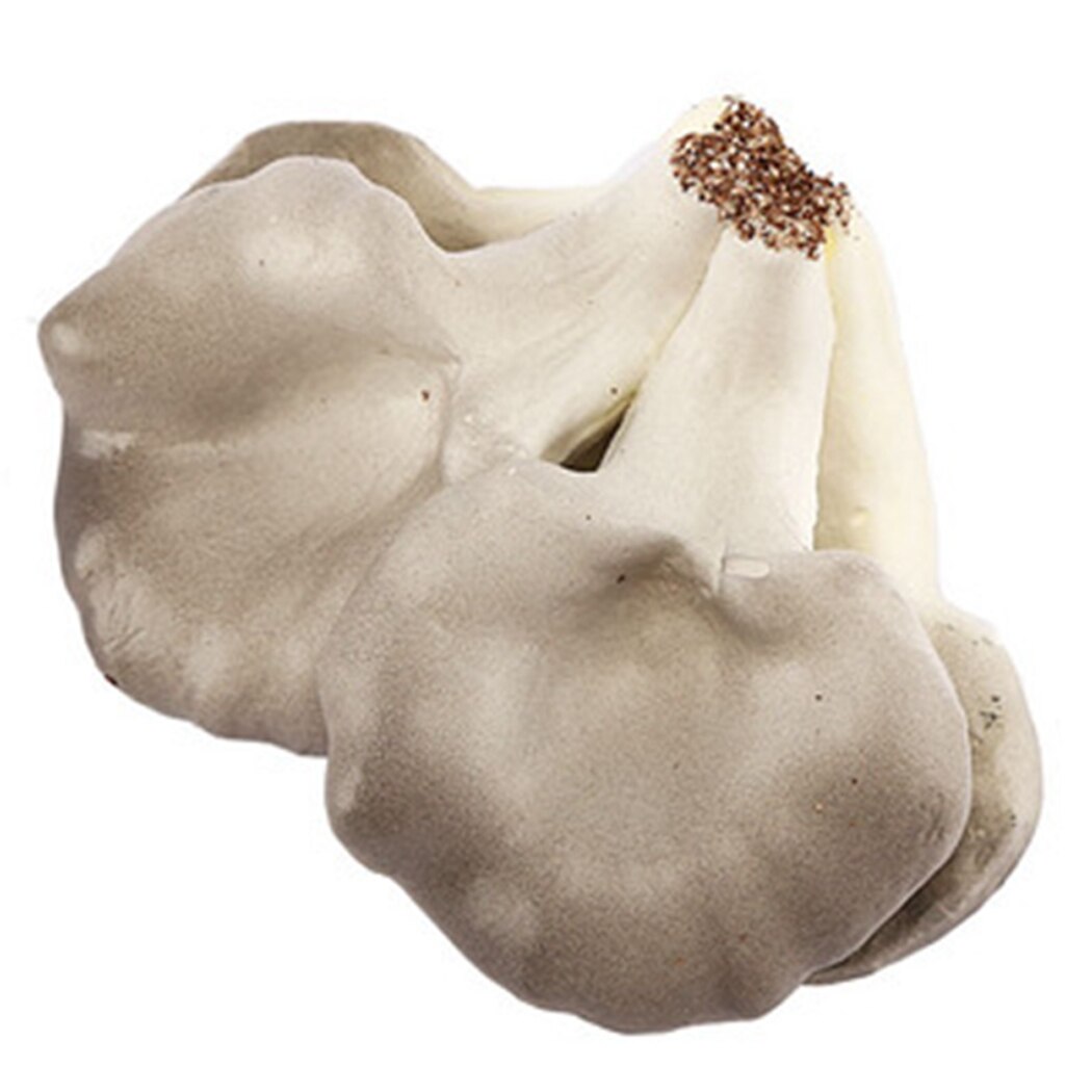 Champignon artificiel 5 têtes, accessoire décoratif pour exposition d&#39;aliments végétaux