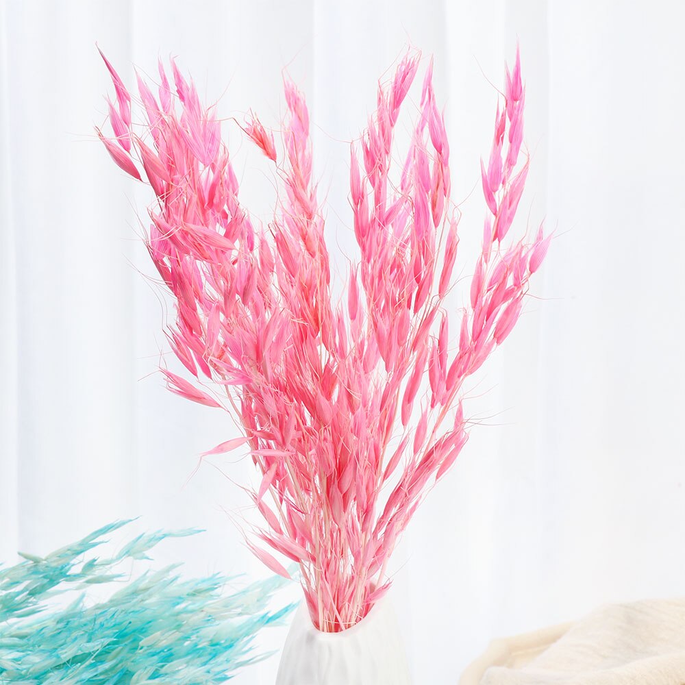 15/25 sztuk trzciny naturalne pszenicy kwiat bukiet suszone Pampas ślubny kwiat bukiet bukiety Bulrush dla Home Decor materiały ślubne