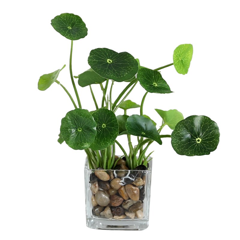 Erxiaobao kunstige planter med glaspotte simulation bonsai potteplanter placeret grønne firkløver hjemmebord vinduer dekoration