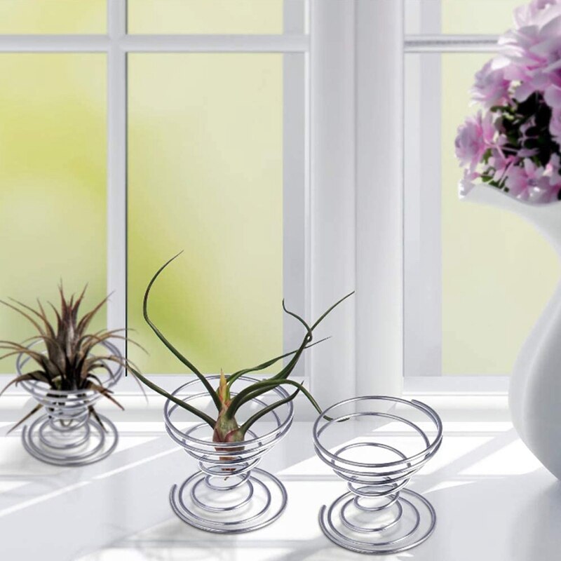 Luchtplantenstandaard, luchtplantenbak, tillandsiahouder, roestvrijstalen plantendisplayrekken, luchtananasbasis, 12 stuks