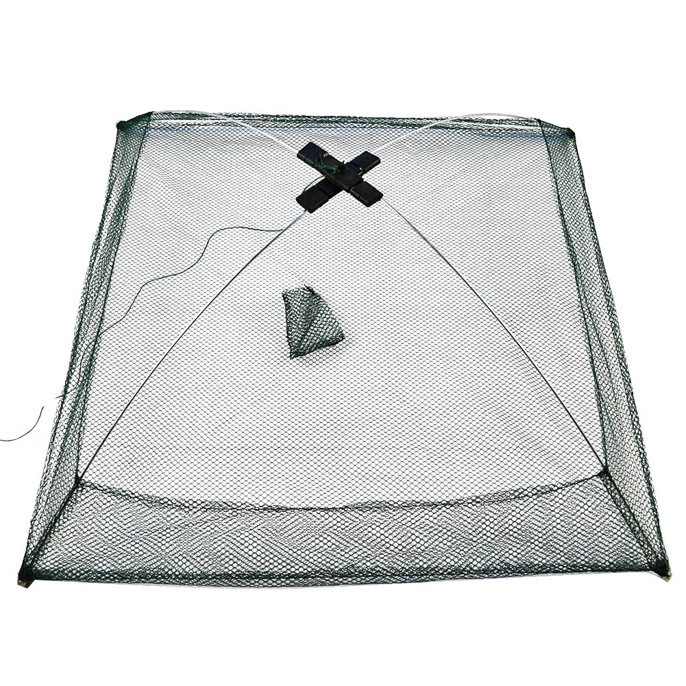 Panier Piège à Anguilles Portable - 35.7x35.7x11 Cm - Pour Crabes, Crevettes, Homards - Facile à Utiliser