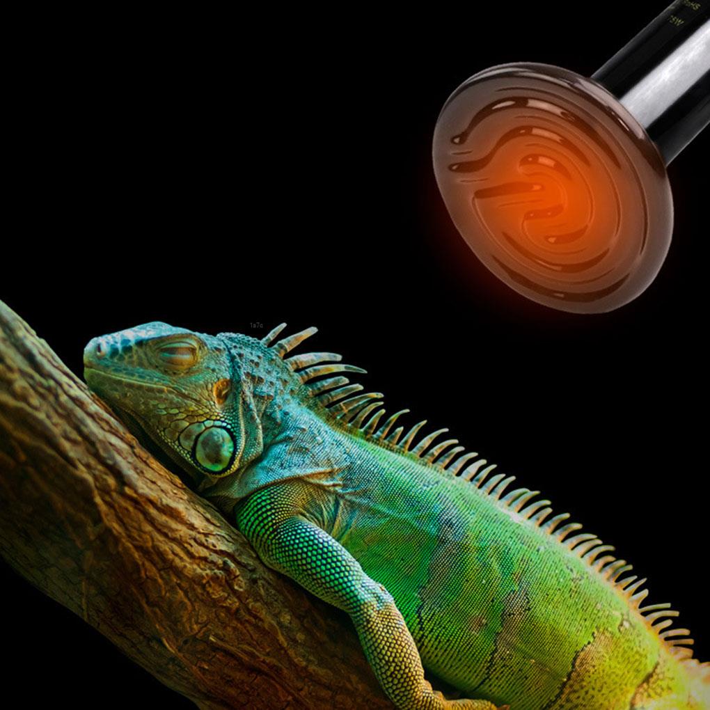 Pet Heating Light Bulb Infrared Black Ceramic Emitter Heat Lamp Bulb For Reptile Animals Heater Brooder Ceramic Heate Bulb