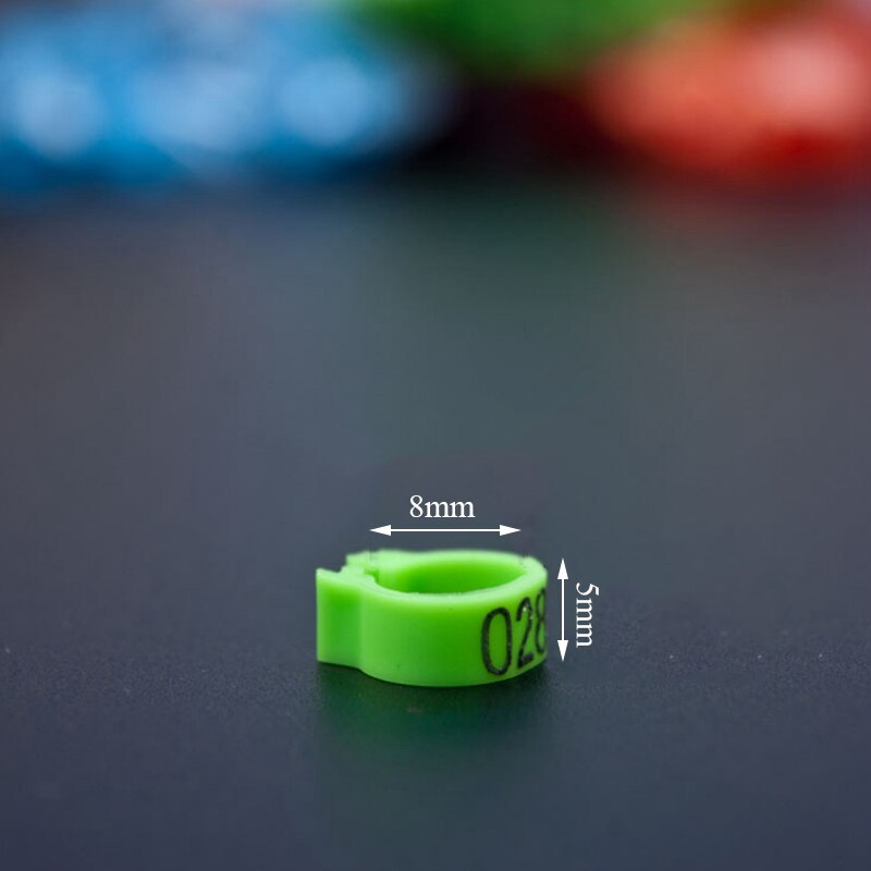 Inner Diameter 8mm Pigeon Leg Bands Poultry Dove Bird Parrot Clip Rings Band Foot Ring Pigeon Supplies Bird Appliances 100 Pcs