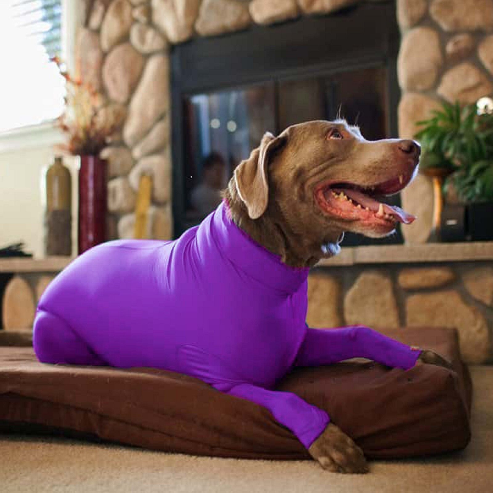 Pet Dog Cloth Dog Winter Cloth Pet Vest Solid Slim Medium Dog Slim Cloth Pat Cloyh Outcoor Cute Soft Jumpsuit