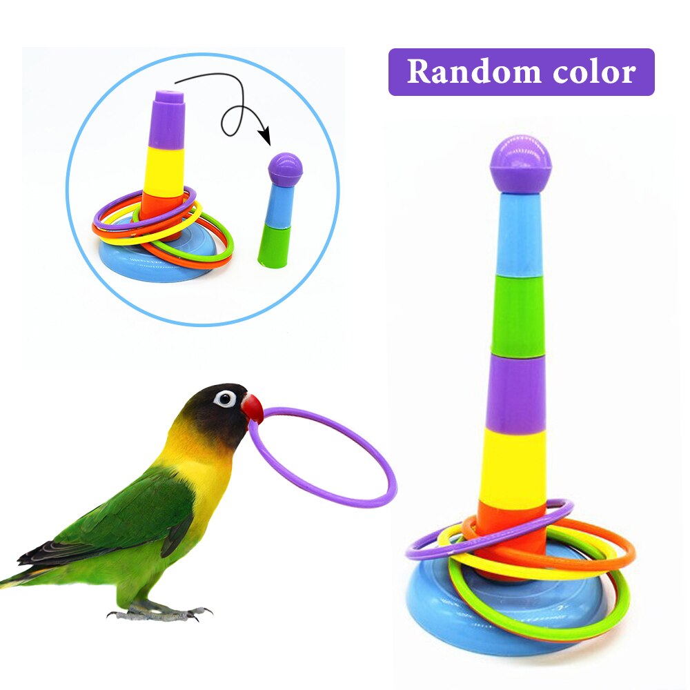 Divertido Mini juguete de férula para loro, Juego de desarrollo de inteligencia, anillos coloridos, juguete de entrenamiento para actividades de aves, triangulación de