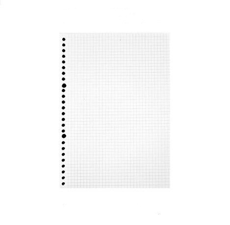 A5 B5 Loose Leaf Notebook Refill 60 Sheets Kawaii Spiral Binder Index Inside Page Dot Grid Blank Connell Stationery: Gird / B5 26 holes