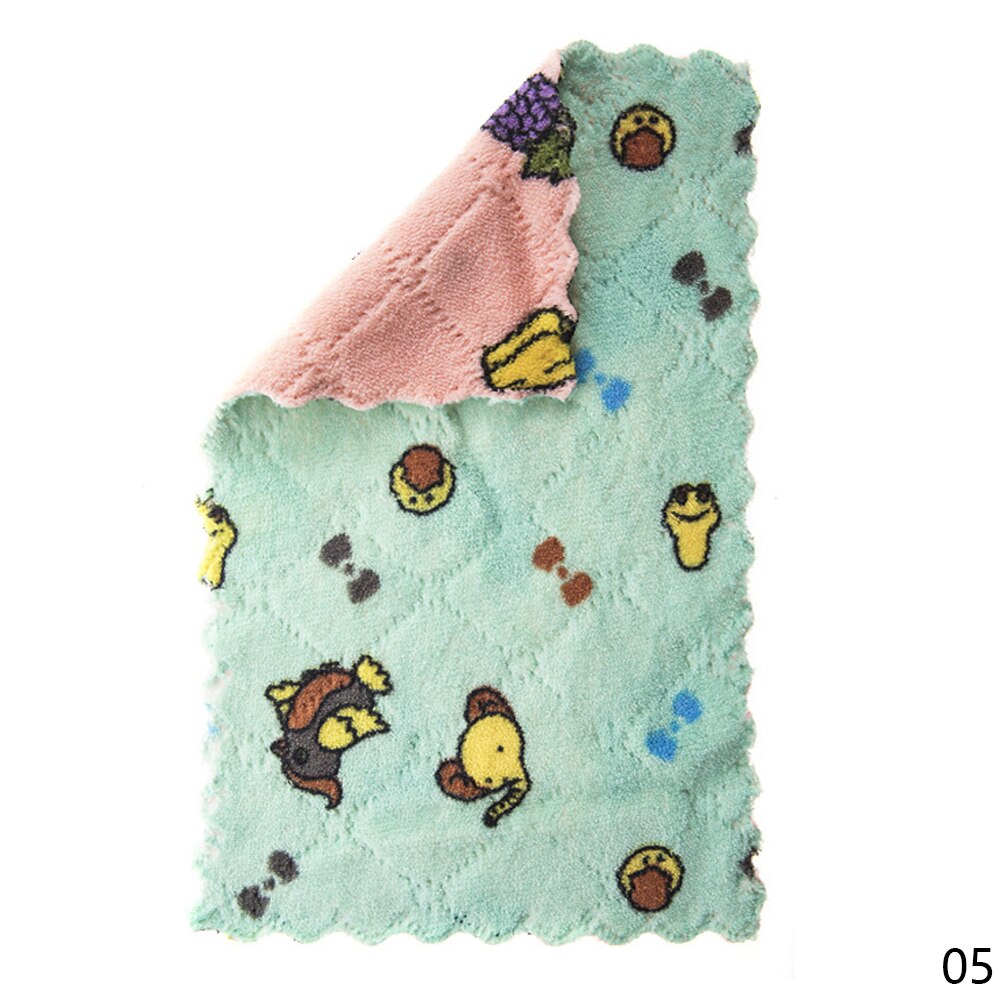 Keuken Anti-Vet Poetslappen Coral Fluwelen Super Absorberende Microfiber Schoonmaakdoekje Thuis Wassen Schotel Keuken Schoonmaken Handdoek: Green Pink-16x27cm