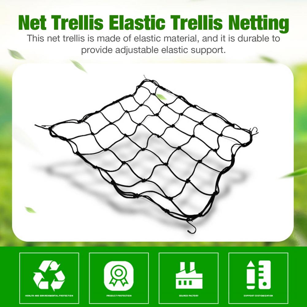 Flexible Net Trellis Elastic Trellis Netting with 4 Steel Hooks for Grow Tents Garden Botany Uniform illumination