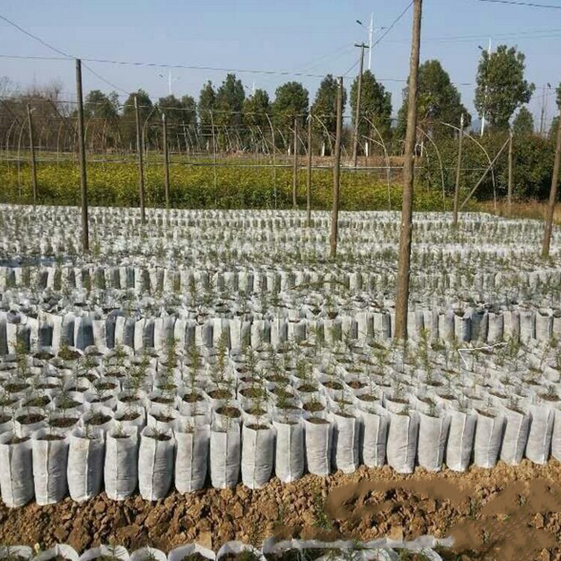 100 stk forskellige biologisk nedbrydelige ikke-vævede børnehaveposer plantevokseposer til stofplanteplanteopdrætposeplanter haveforsyning