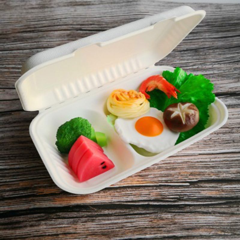 50Pcs/bag 1000ML Biodegradable Disposable Takeout Food Containers Leak Proof Rice Meal Holder Box with 2 Compartments