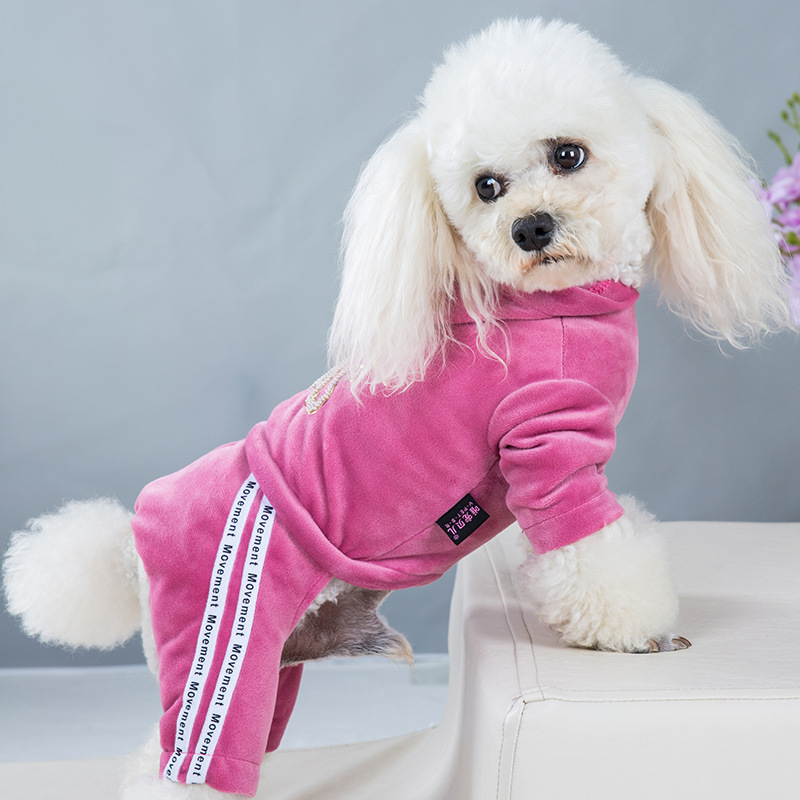 Dog Clothes for Small Dogs Cat Warm Winter Pet Clothing Soft Velvet Overalls Puppy Girl Hoodies Jumpsuit Sweatshirt Chihuahua