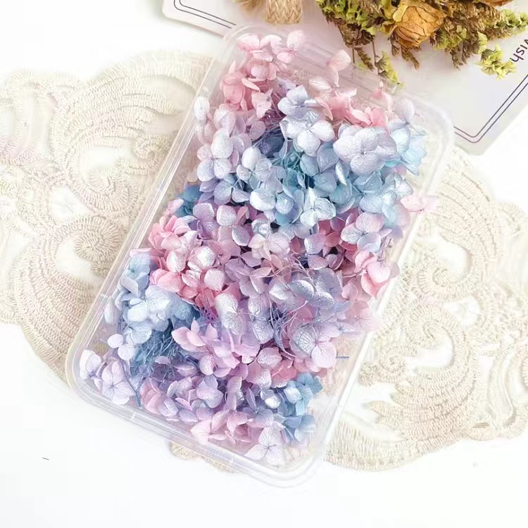 Décalcomanies de fleurs séchées 3D pour Nail Art, autocollants floraux naturels, conceptions de fleurs sèches pour N64.Crafts, accessoires de manucure bricolage: Blue
