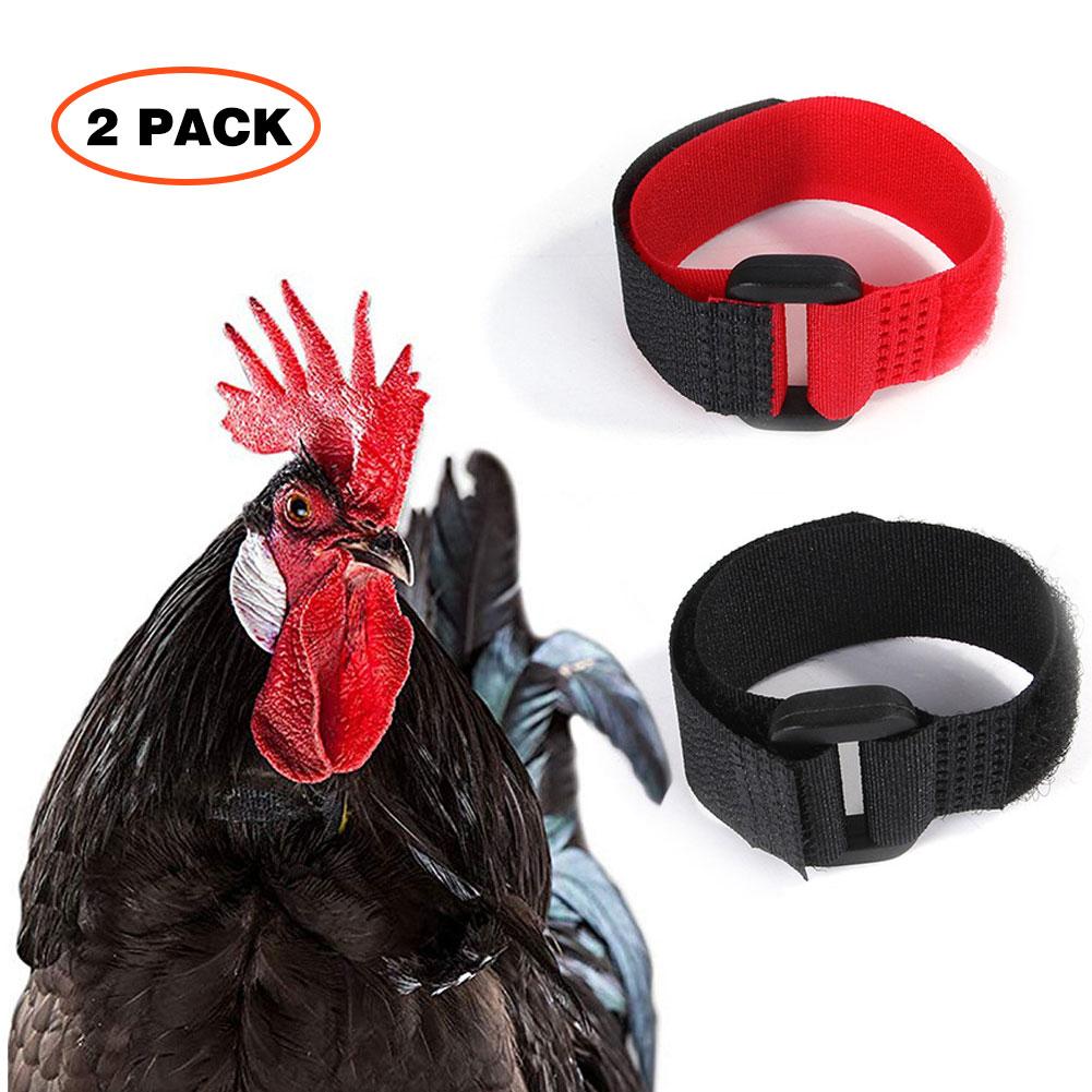 2 unids/lote correa para cuello de mascotas, Collar para Gallo, suministros de gallo, accesorios de banda para el cuello para aves de corral