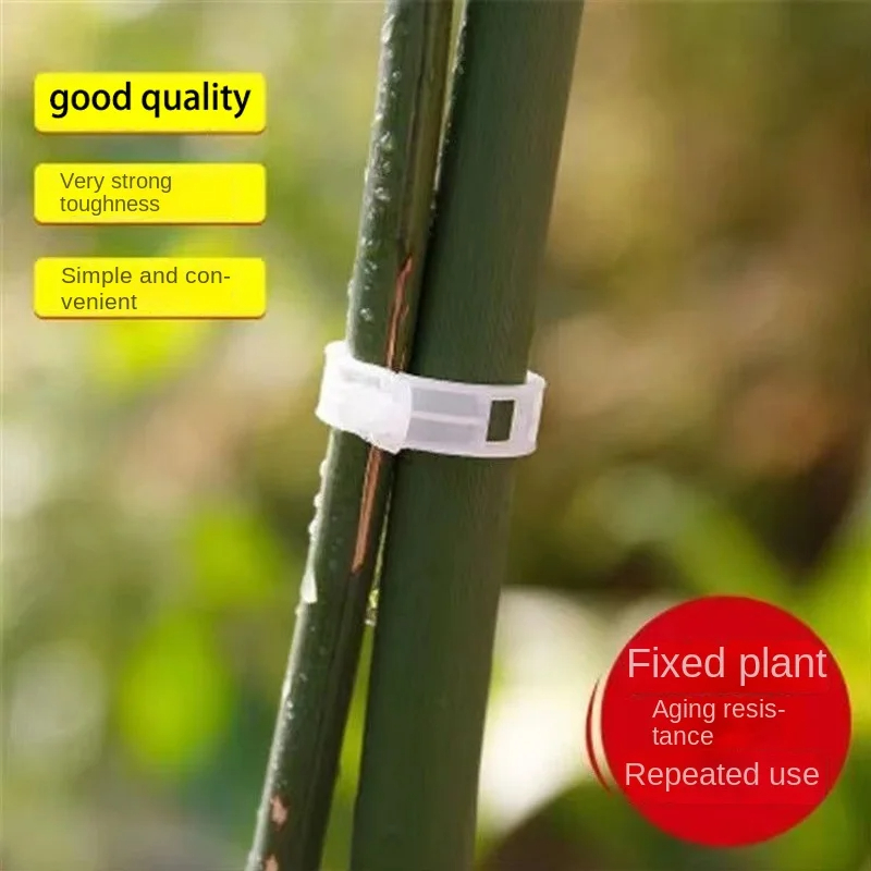 de Clips de soporte para plantas, herramientas de fijación de injerto de protección de vid de plantas de plástico reutilizables para suministros de jardín de tomate vegetal