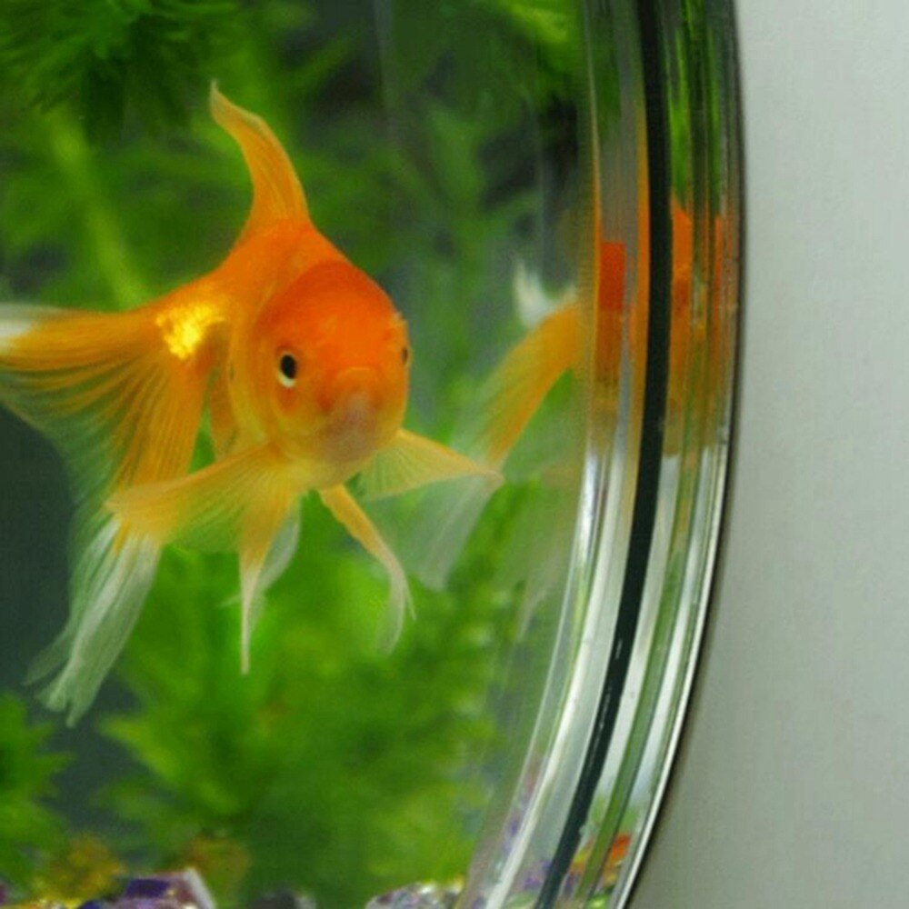 Acrylic Fish Bowl Wall Hanging Aquarium Tank Aquatic Pet Supplies Pet Products Wall Mount Fish Tank for Betta fish