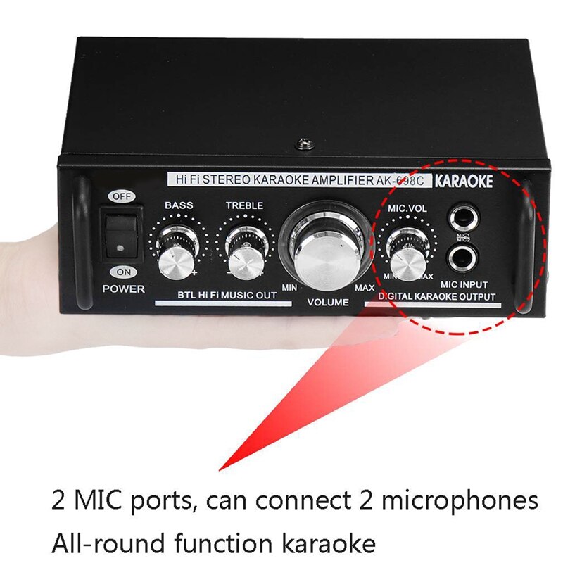 12V/220V 600W 2 Mic Stereo Speaker Mini Auto Home Bass Eindversterker Hifi MP3 Booster AK-698C Eu Plug