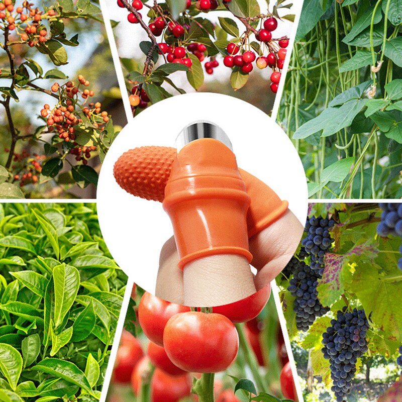 Farm Vegetable Fruit Picker Pickle Pepper Pickle Tip Picker Iron Nail Pick Grape Picker For Garden Tools garden tools