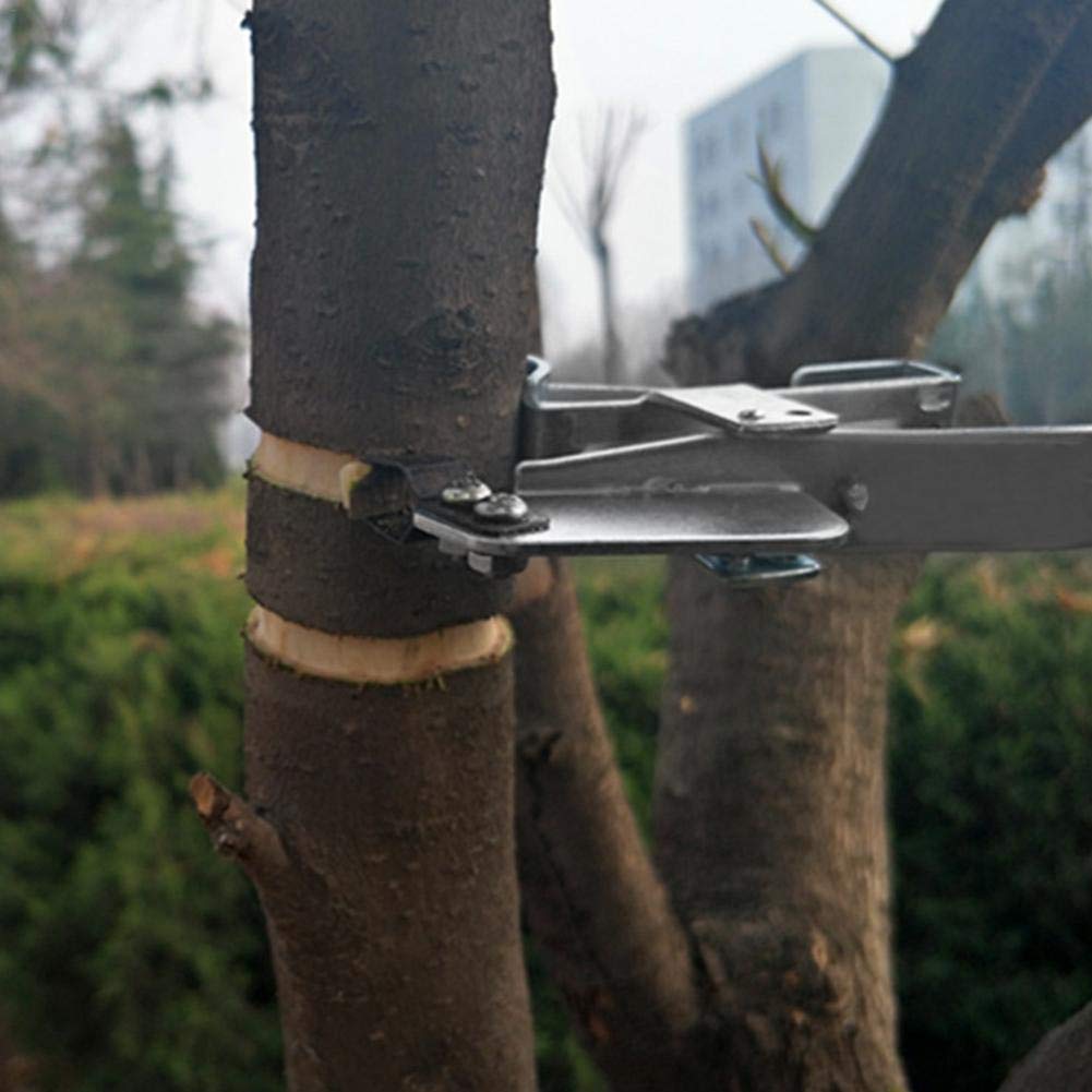 Ring Geformt Obst Baum Schäler Rinde Abisolieren Schneiden Werkzeug Edelstahl Pfropfen Werkzeug