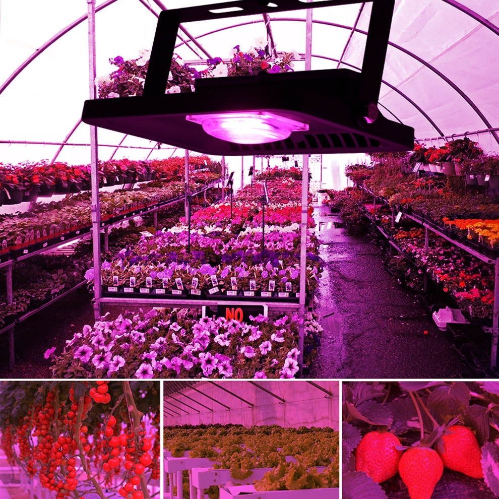 Høy effekt kolbe ledet vokse flom lys/ ledet chip 20w 30w 50w 100w ac220v ip65 vanntett fullspekter 380-780nm til såplante