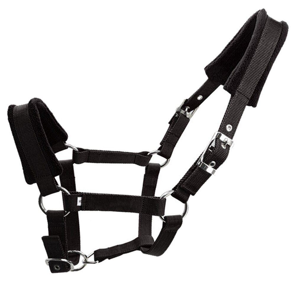 Correa ajustable de doble capa, accesorios de protección, deportes, varios tamaños, equipo de montar, caballo, vellón, acolchado, grueso: Black L