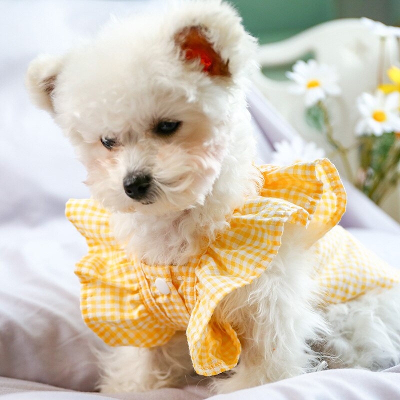 PETCIRCLE Dog Clothes Yellow Plaid Cute Doll Shirt Fit Small Dog Puppy Pet Cat Spring &amp; Summer Pet Costume Dog Clothes Blouse