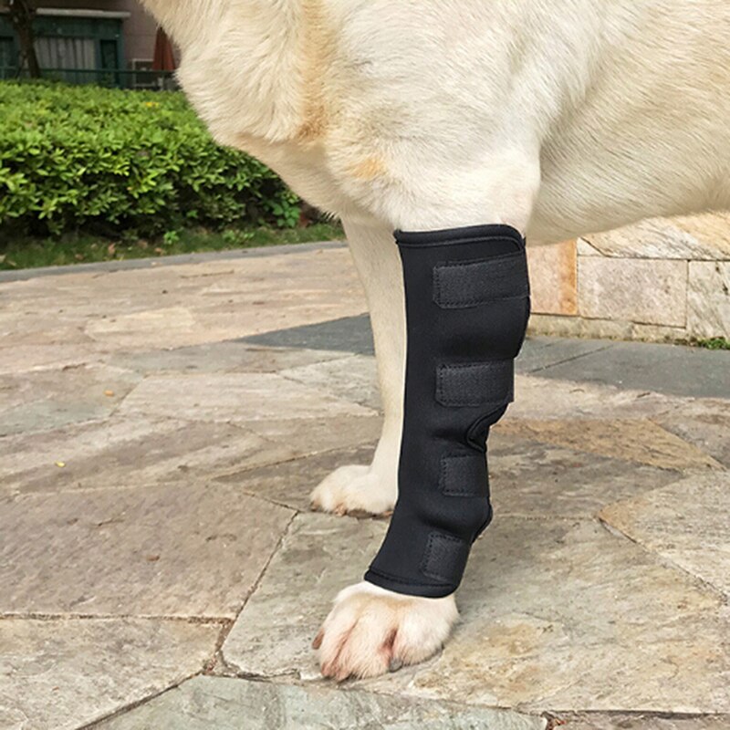 Rodillera protectora para pata trasera de perro, envoltura de corvejes, lesiones transpirables, para el cuidado de piernas de Mascota, 1 unidad,