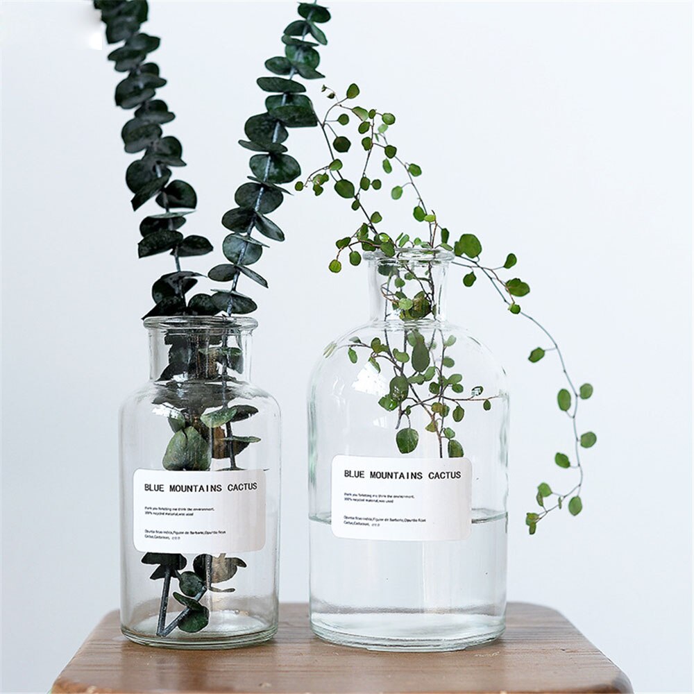 Minimalist Chic Glass Storage Jars Scandinavian Vogue Elegance Transparent Desk Storage Bottle Organizer Flower Container Decor