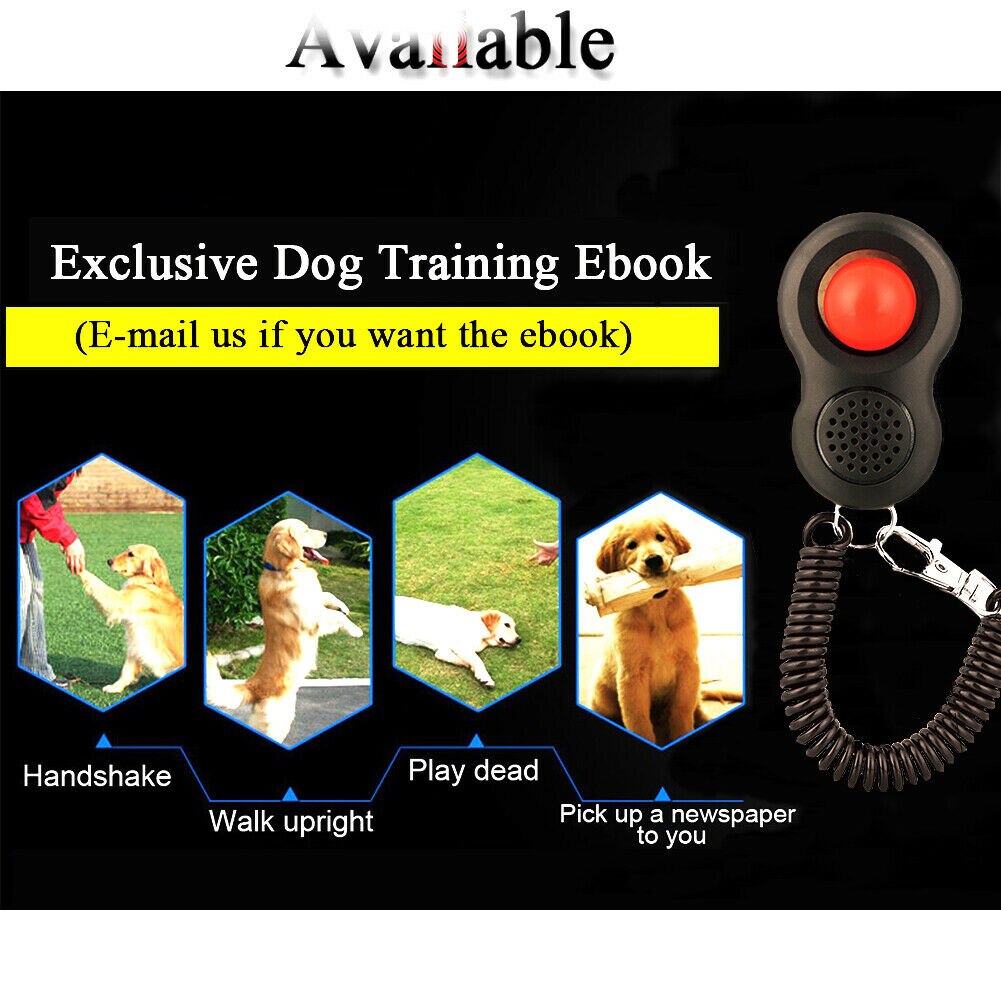 Pet Dog Cat Button Training Clicker Dogs Click Trainer Obedience Aid Wrist Strap Adjustable Sound Key Chain 4 Colors