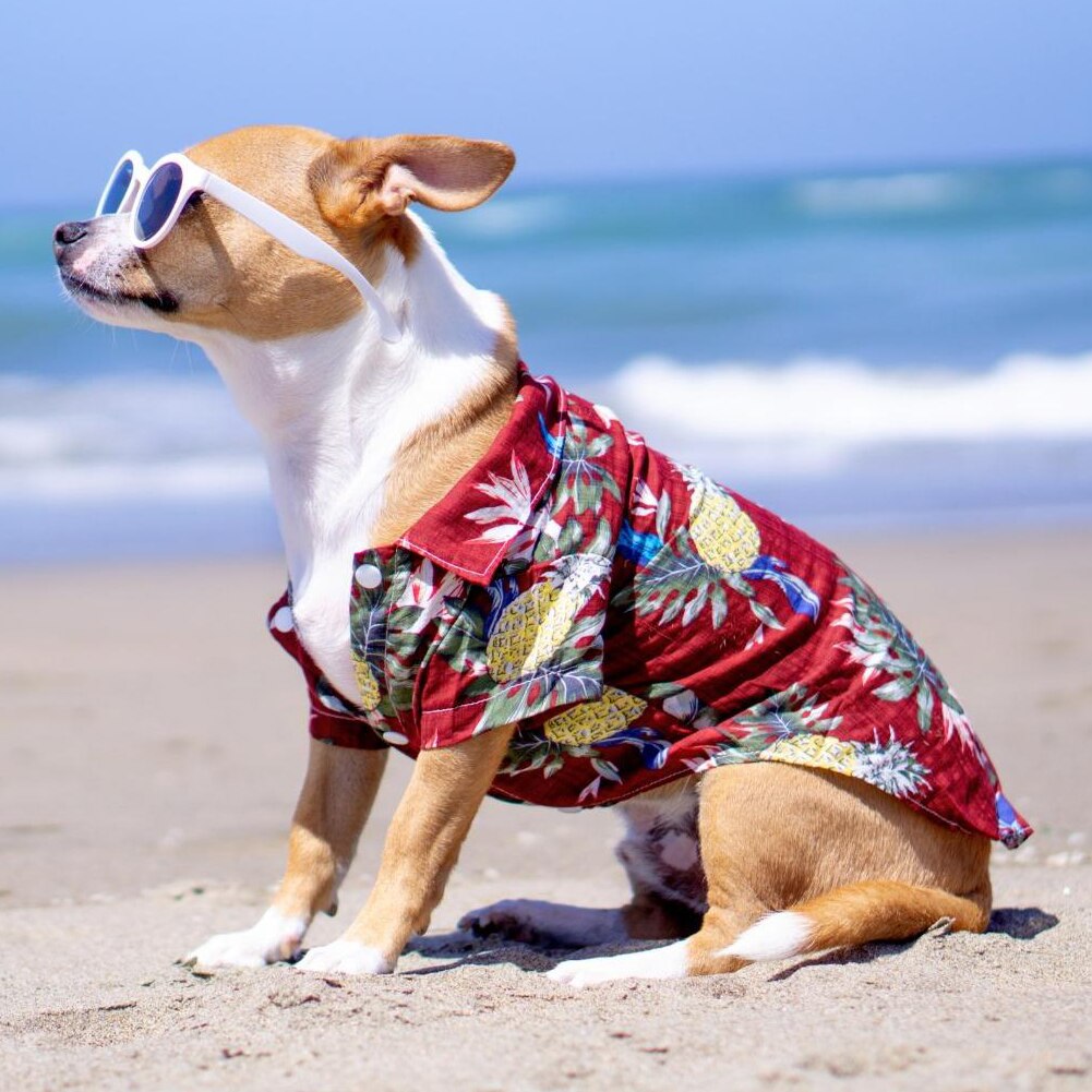 Zomer Pet Gedrukt Kleding Voor Honden Bloemen Strand Overhemd Jassen Hond Jas Puppy Kostuum Kat Lente Kleding Huisdieren Outfits