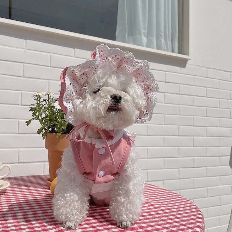 Lemmikkimekko pinkki sininen piika pitsi hame koiran vaate bichon nalle lemmikkivaatteet kissan mekko pentu vaatteita pienille koirille lemmikkieläintarvikkeet: Vaaleanpunainen hattu / M