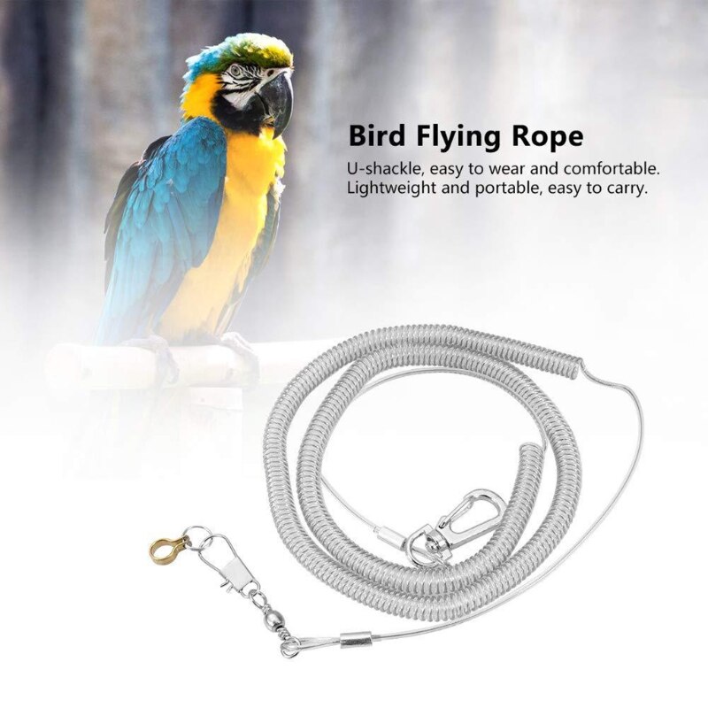 Harnais Anti-morsure oiseau perroquet 6m, entraînement en vol, corde laisse pour c.ckatiels aras, oiseaux étoilés gris africains