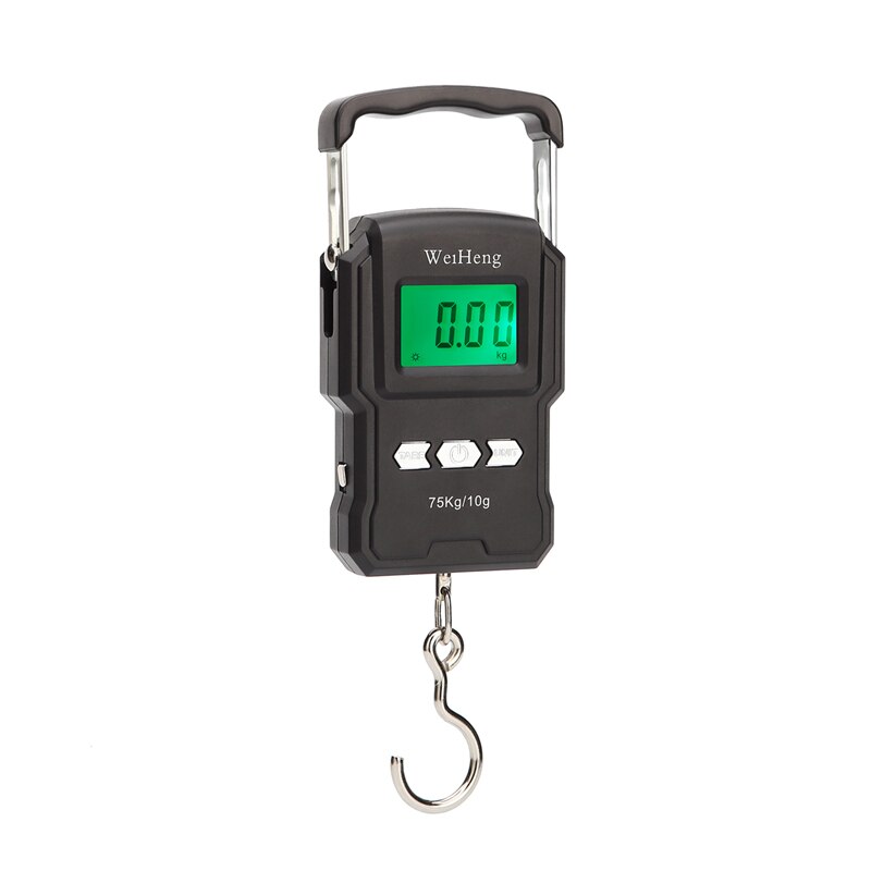 75Kg/10G Portable Hanging Scale Digital Display Charging/Battery Models Fishing Luggage Travel Weighing Electronic Hook Scale: A22L Battery