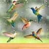 Hummingbird Sticker Glass Decal Electrostatic Glass Film Anti-Collision Window Cling To Prevent Bird Strikes Non Adhesive 6PCS