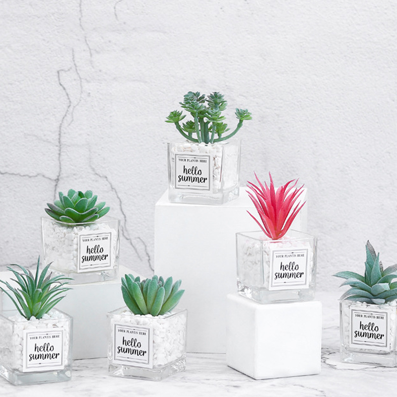Planta de simulación nórdica, Mini planta suculenta en maceta, péndulo , botella de vidrio de piedra verde, planta decorativa de escritorio en maceta