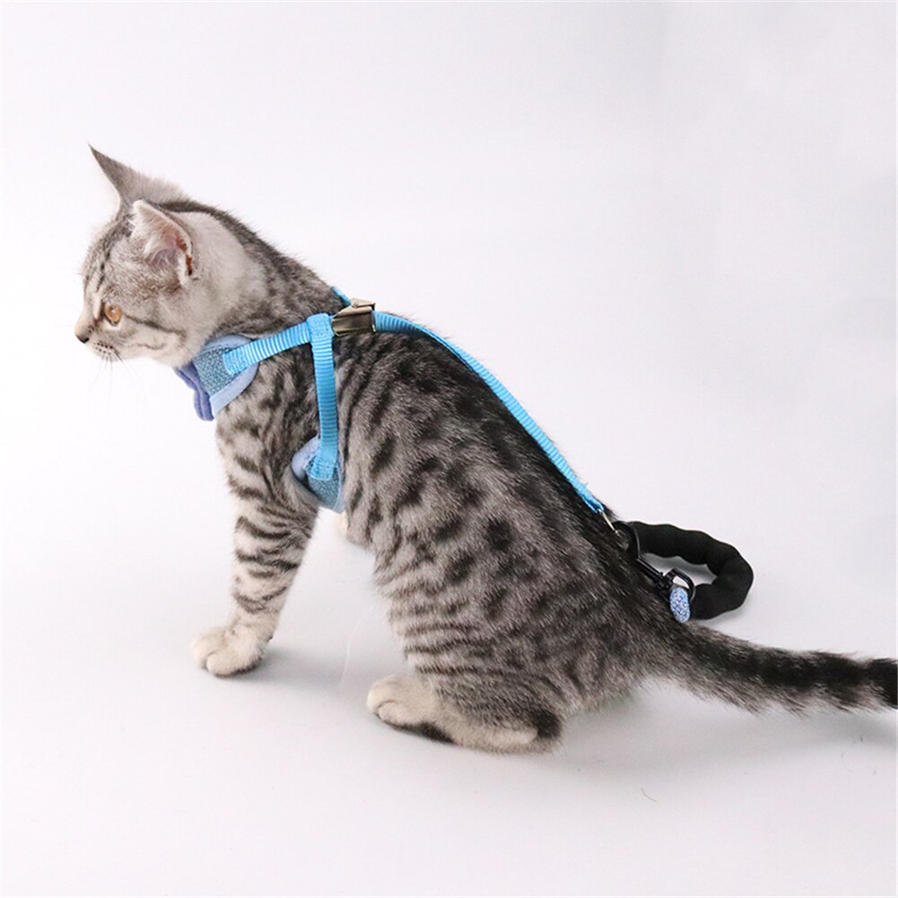 Conjunto de Correa y arnés con pajarita para gato, arnés ajustable para mascotas con correa para gatos, mascotas, tractores para caminar