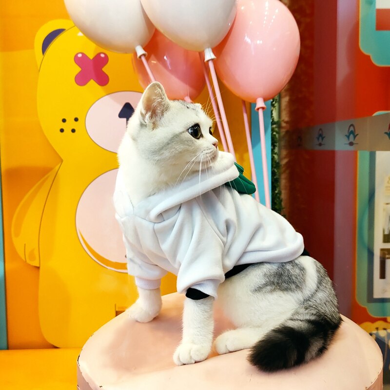 Zielona bluza z kapturem z motywem kota ubrania dla kota