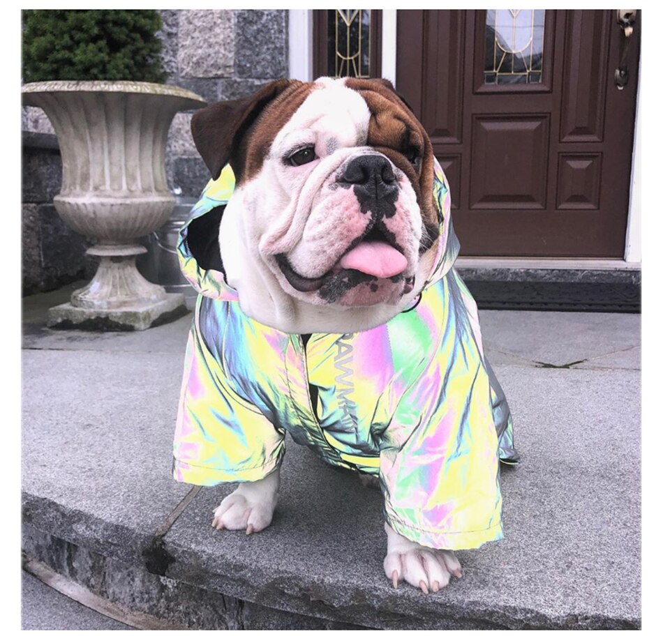 Abrigo para perro reflectante a la , ropa para perros al aire libre a prueba de viento, Sudadera con capucha deportiva para perros, ropa para mascotas para Bulldog Chihuahua