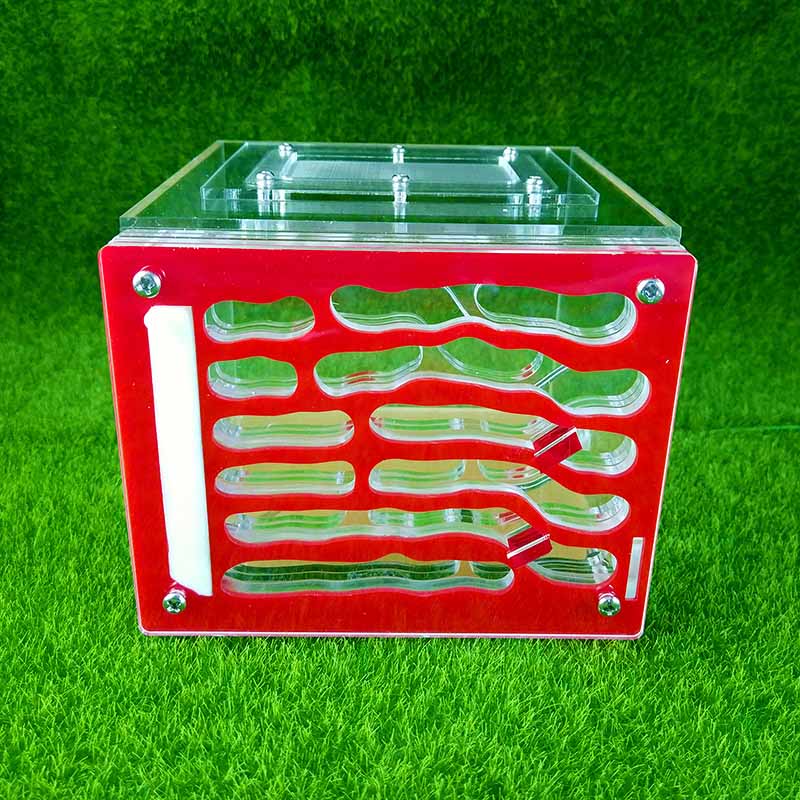 Acrylic Large Moisturizing Ant Nest Pet Ant Farm W... – Grandado