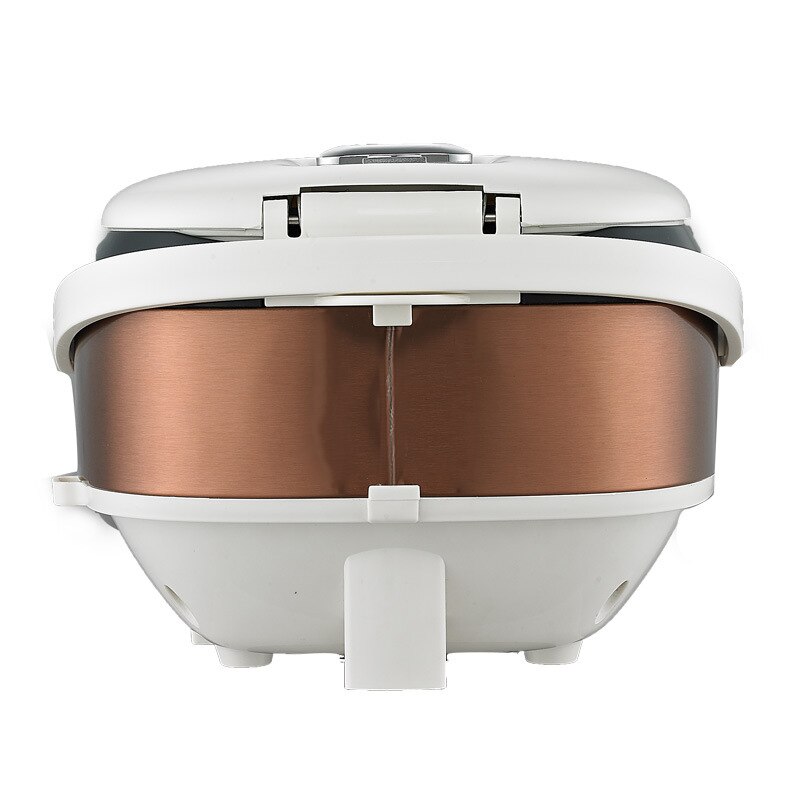 3L Neue Clever Termin Reiskocher 2-6 Menschen Hause Multi-funktion Kleine Mini Reiskocher