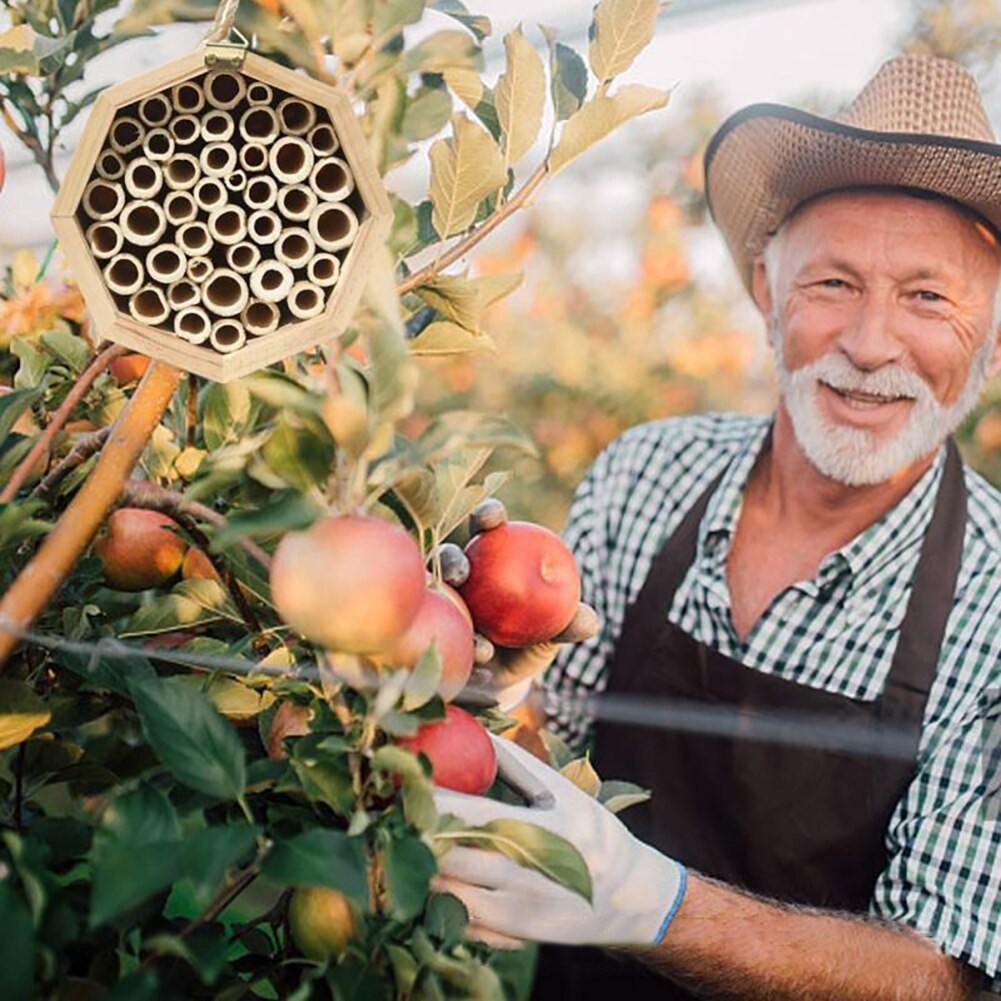 Mason Bee House Handmade Natural Bamboo Bee Hive Attracts Peaceful Bee Pollinators for Your Garden's Enhance Productivity