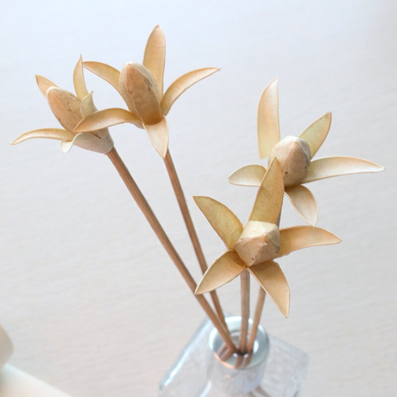 Lychee 5pcs Opening Small Artificial Flower Reed Diffuser Replacement Stick Handmade Home Decoration Simple Style Rattan