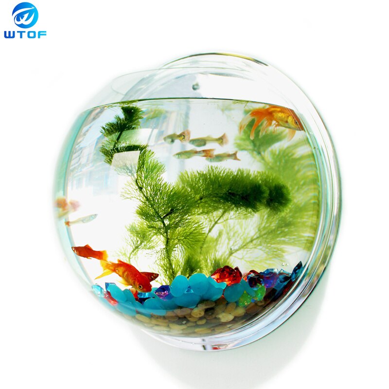 Acryl Plexiglas Vis Kom Muur Opknoping Aquarium Tank Aquatic Pet Producten Muurbevestiging Aquarium Voor Betta Vis