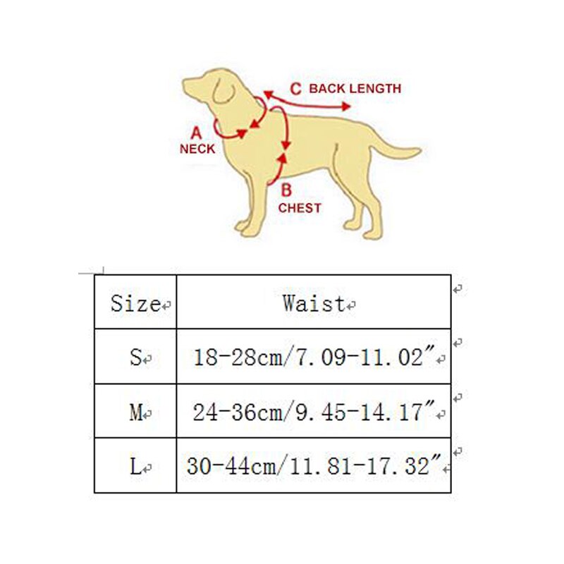 Hond Puppy Sanitair Fysiologische Hygiënisch Kant Pant Slipje Korte Huisdier Broek Ondergoed Luier Voor Kleine Hond 4 Kleuren