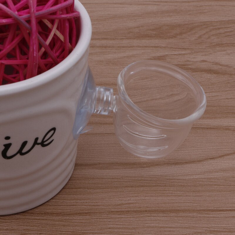 Acquario serbatoio di vetro bolla pianta di cristallo alimentatore per pesci bacino di vetro tazza nuovo